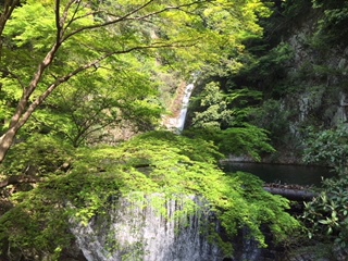 No Rain No Rainbow 布引の滝 再度公園 元町ハイキング