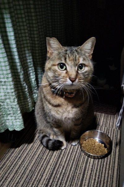 ３月１５日，道の駅あしがら泊