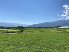 ２０２１年８月…雨夏 2021/09/30 23:16:55