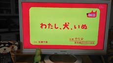 NHK Eテレ 0655犬のうたに出ました！