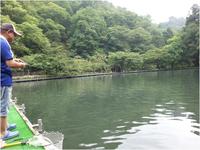 自然と魚とふれあう森の中の泉へ・・・醒井養鱒場