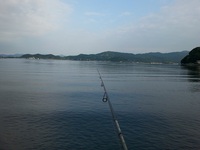 ハゼクラ in 浜名湖 2015/08/24 02:11:59