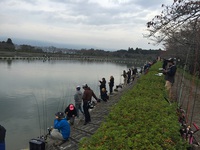 トラキンチームバトル＆浜名湖FRオープン2日目・・・ 2015/11/01 22:06:18