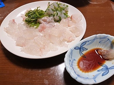 肉厚の寒ヒラメ