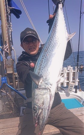 サワラ（鰆）、やはり魚ヘンに春ですね～