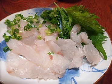 デカマゴチの刺し身