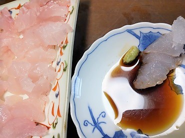 オオモンハタ、激旨！
