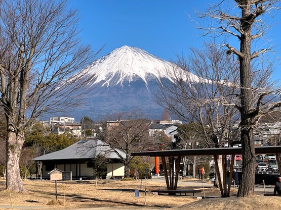 昨年は大吉でしたが…