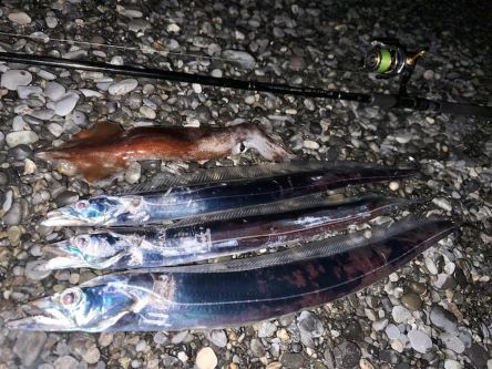 太刀魚とスルメイカ