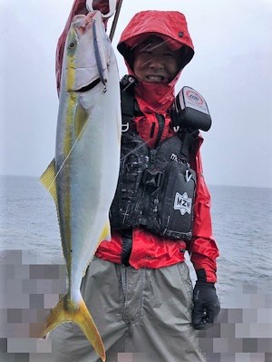 黄色が鮮やかなイナダ