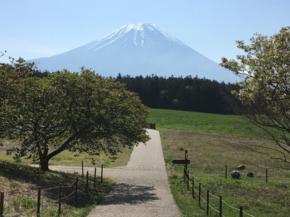 2016GW車中泊旅行 第一弾　富士芝桜まつり　②