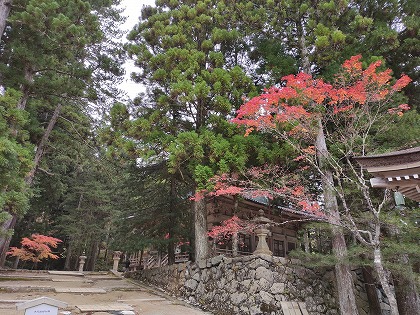 秋の高野山で車中泊、そしてグランドメルキュール和歌山みなべリゾートの旅
