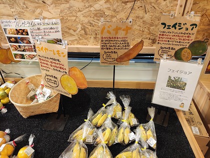秋の高野山で車中泊、そしてグランドメルキュール和歌山みなべリゾートの旅