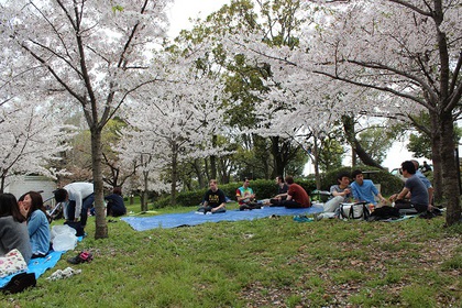 大阪城公園でお花見♪