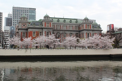 大阪城公園でお花見♪