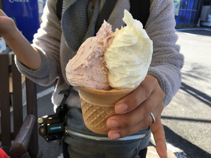 紅葉・近江牛求めて、びわこ県へ（その３）