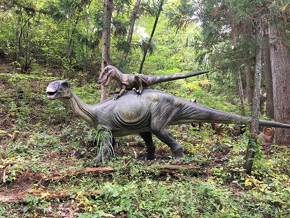 福井県立恐竜博物館へ