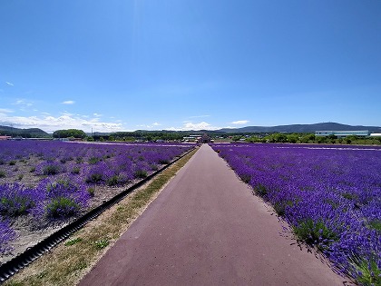 今年も行ってきました北海道車中泊旅2021　⑦　枝幸から丸瀬布へ　その１