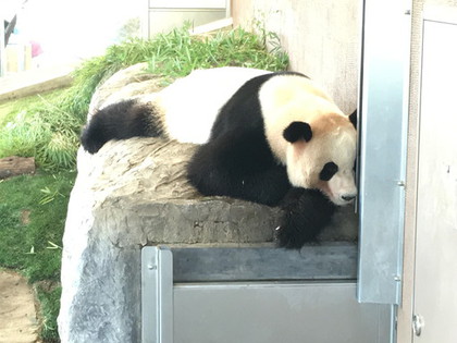 行ってきました♪　白浜＆明日香村　２泊３日の旅　③