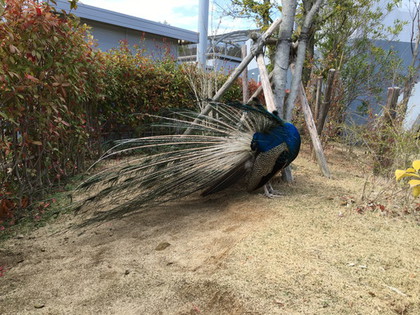 行ってきました♪　白浜＆明日香村　２泊３日の旅　③