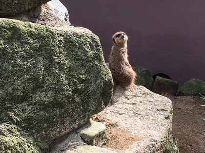 行ってきました♪　白浜＆明日香村　２泊３日の旅　③