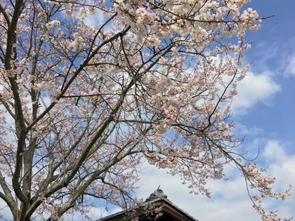 行ってきました♪　白浜＆明日香村　２泊３日の旅　③