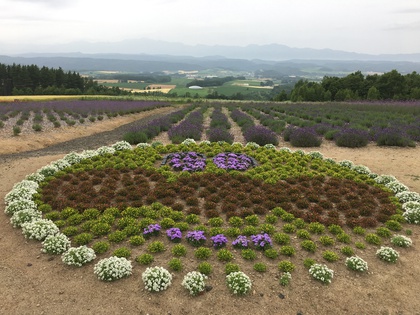 北海道上陸２日目の日記