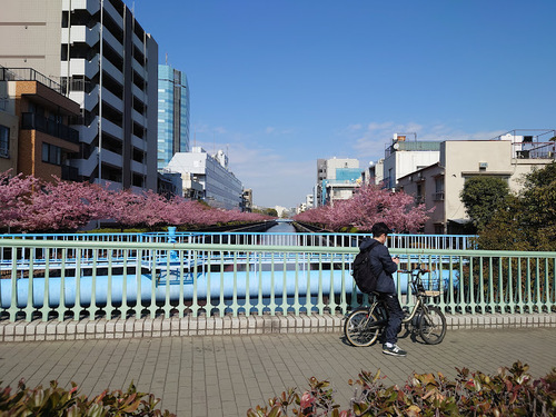 東京マラソン2025応援ライド