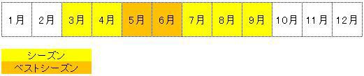 【鱒川チェック】なごみ村キャンプ場：釣り場とイチオシポイントを公開！