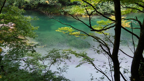 夏と秋の狭間で…