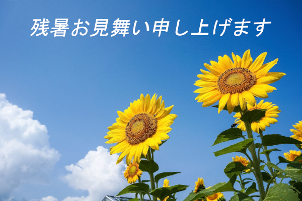 残暑お見舞い申し上げます