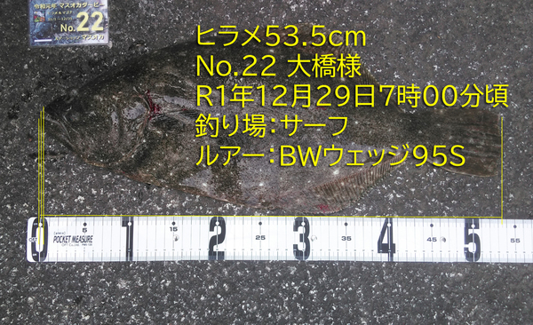 ヒラメ53.5cm