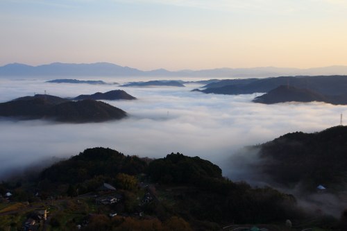 冷え込んだ朝は。。。♪