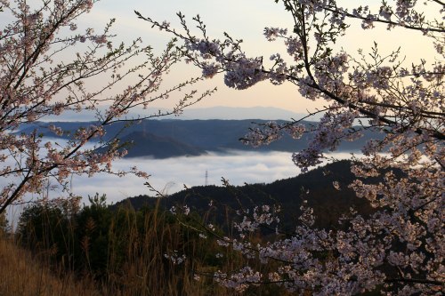 冷え込んだ朝は。。。♪