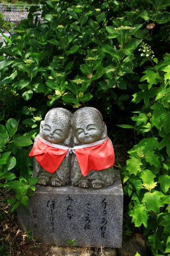 あじさい寺　「神宮寺」