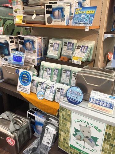 物欲まみれのスポオソ下見。