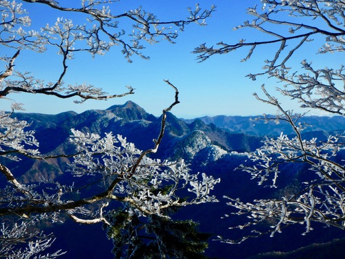 近畿最高峰は霧氷天国〜大峰山（八経ヶ岳）ハイキング