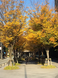 近況など 2015/12/07 12:34:00