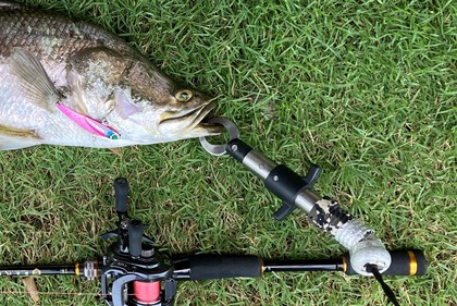 バラマンディ釣り堀に行ってみた　その16