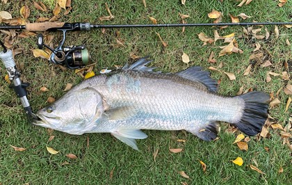 バラマンディ釣り堀に行ってみた　その16