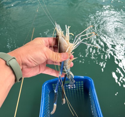 タイでエビ釣堀にいってみた