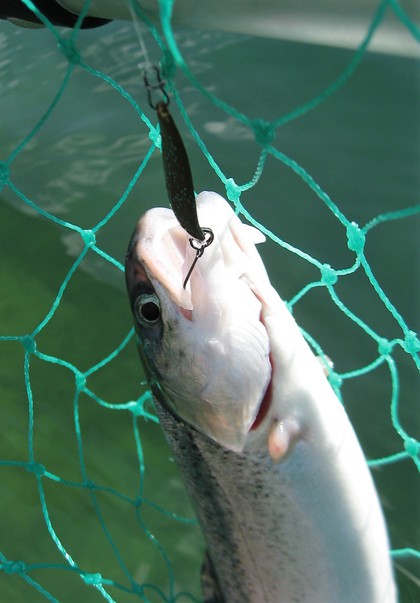 インディアナ釣行 その44  再びカヤックトラウト