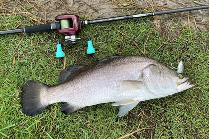 バラマンディ釣り堀に行ってみた　その9 ニューロッド入魂