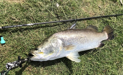 バラマンディ釣り堀に行ってみた その8  自己記録出たぁ