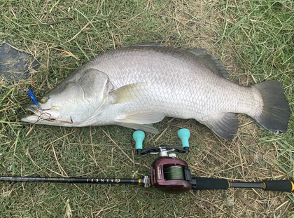 バラマンディ釣り堀に行ってみた　その3