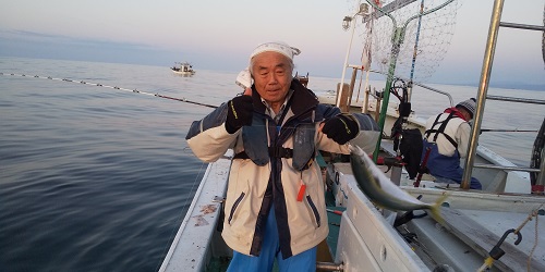 青物好調　（まるで漁師）