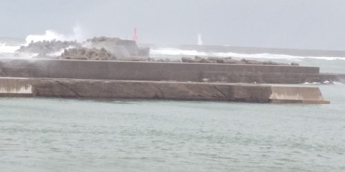浜の風―「謹賀新年」