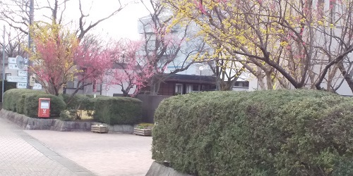 やっぱりいいなー。春