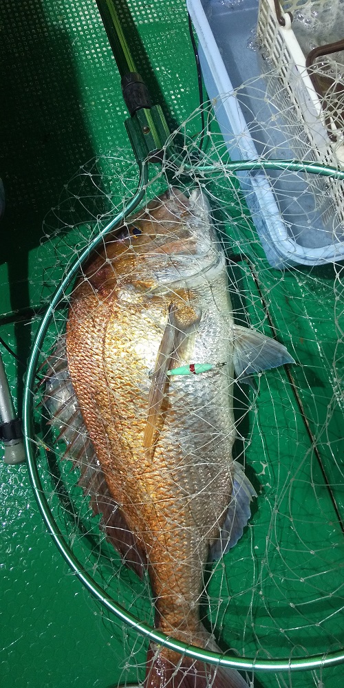 80ｍの攻防