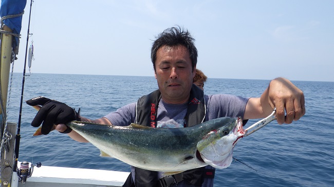 むぎいか